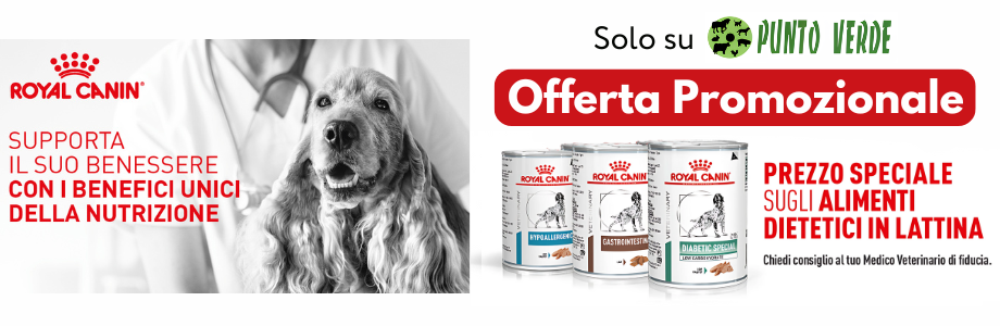 royal canin scatolette